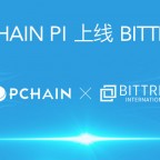 Bittrex已开放PCHAIN(PI)交易